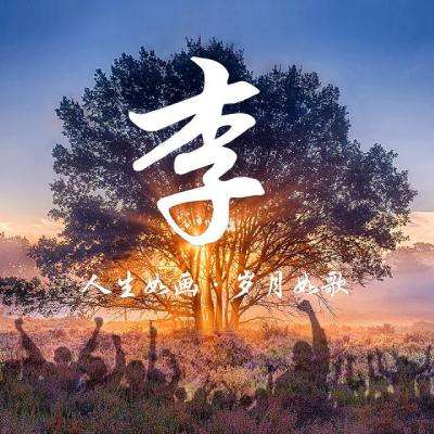 许家印说到做到! 恒大为暴力鸟替身开出队史最高年薪
